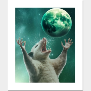 Opossum moon magic Posters and Art